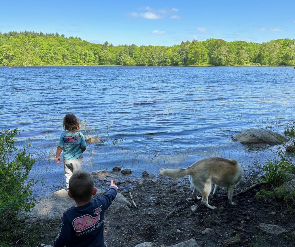 Children at the end of a path looking out across a pond