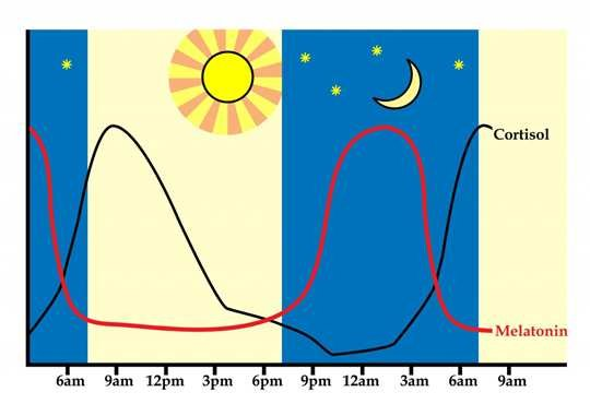 peaks and troughs of cortisol vs melatonin during a 24 hour cycle